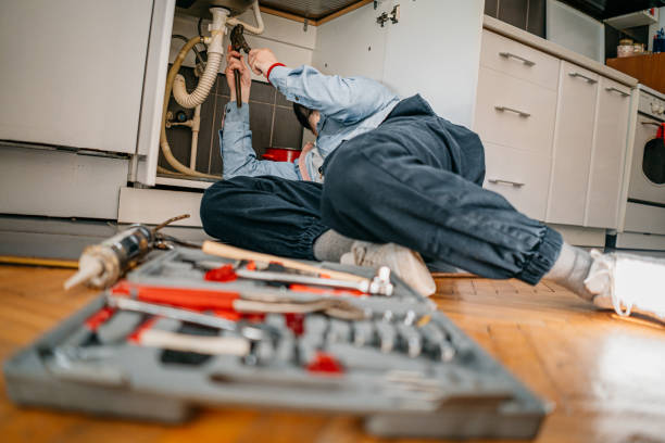 Best Local Plumber Services  in Shenandoah, VA