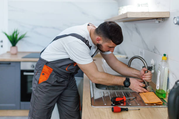 Best Commercial Plumbing Services  in Shenandoah, VA