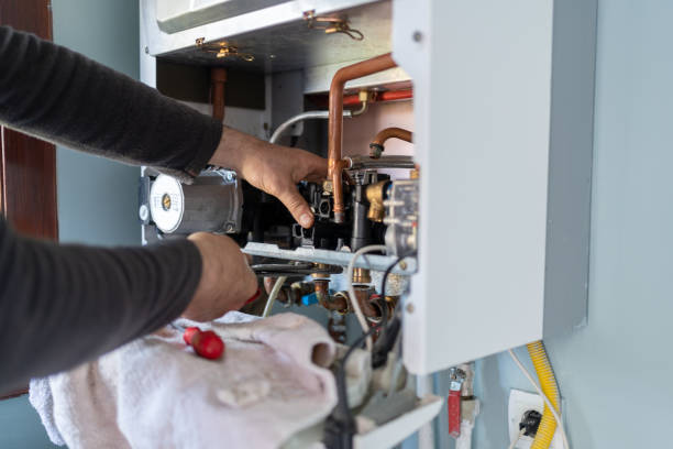 Best Plumbing Inspection Services  in Shenandoah, VA